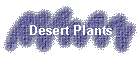 Desert Plants