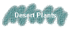 Desert Plants