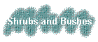 Shrubs and Bushes